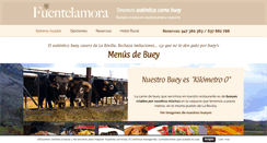 Desktop Screenshot of fuentelamora.com