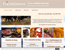 Tablet Screenshot of fuentelamora.com